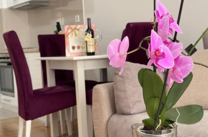 Apartment for rent on Maslinyak street