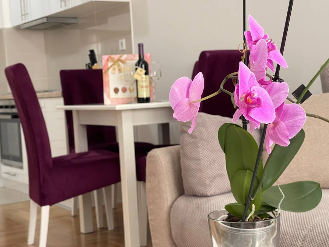 Apartment for rent on Maslinyak street