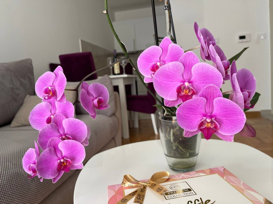 Apartment for rent on Maslinyak street