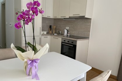 Сдается квартира на ул. Маслиняк